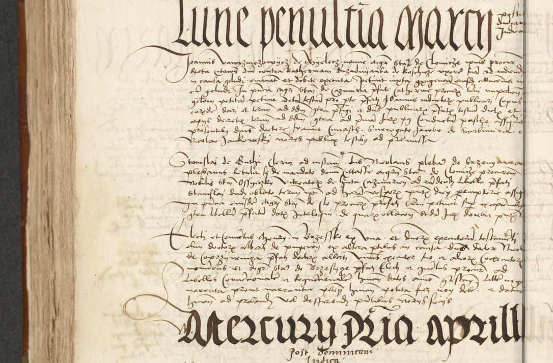 Zdjęcie nr 359 dla obiektu archiwalnego: [Acta actorum officialia coram Johanne de Starzechowicze]