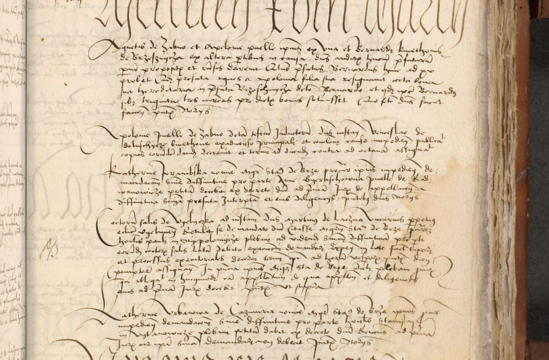 Zdjęcie nr 356 dla obiektu archiwalnego: [Acta actorum officialia coram Johanne de Starzechowicze]