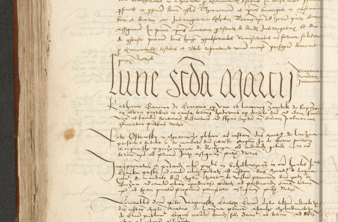 Zdjęcie nr 347 dla obiektu archiwalnego: [Acta actorum officialia coram Johanne de Starzechowicze]