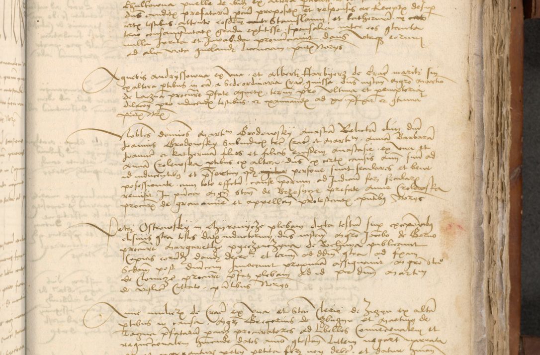 Zdjęcie nr 344 dla obiektu archiwalnego: [Acta actorum officialia coram Johanne de Starzechowicze]