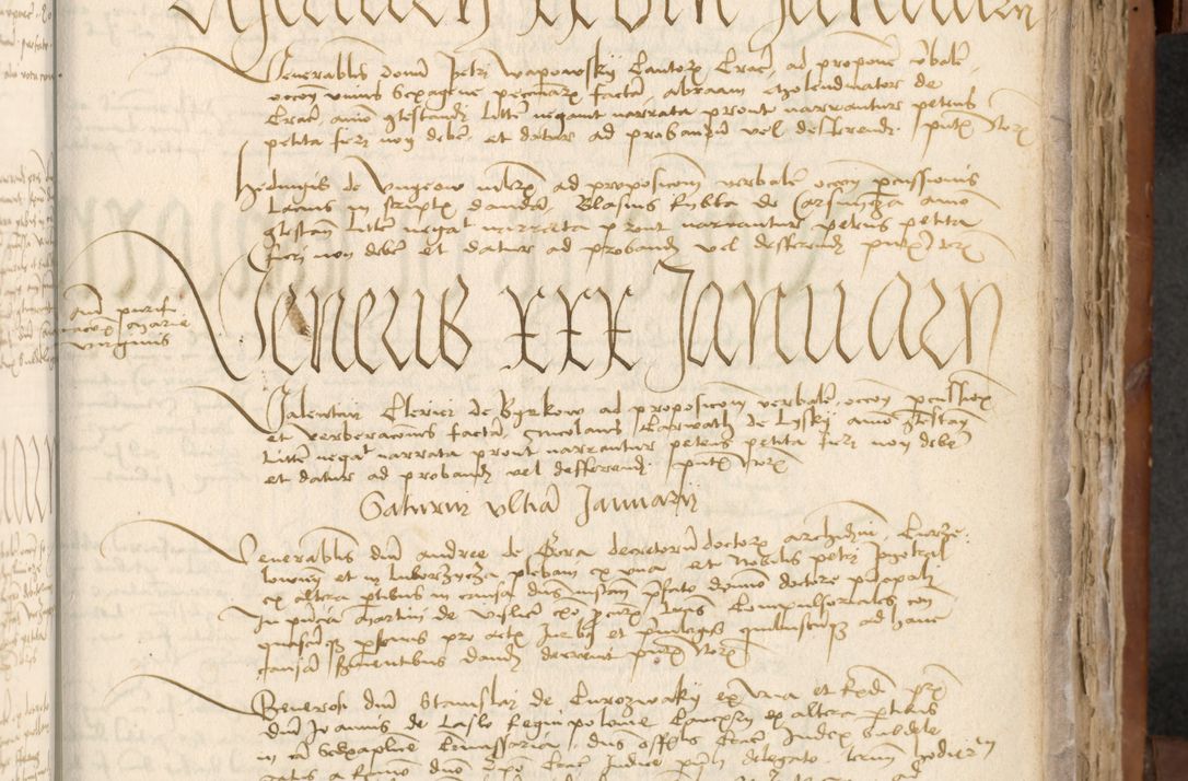 Zdjęcie nr 338 dla obiektu archiwalnego: [Acta actorum officialia coram Johanne de Starzechowicze]