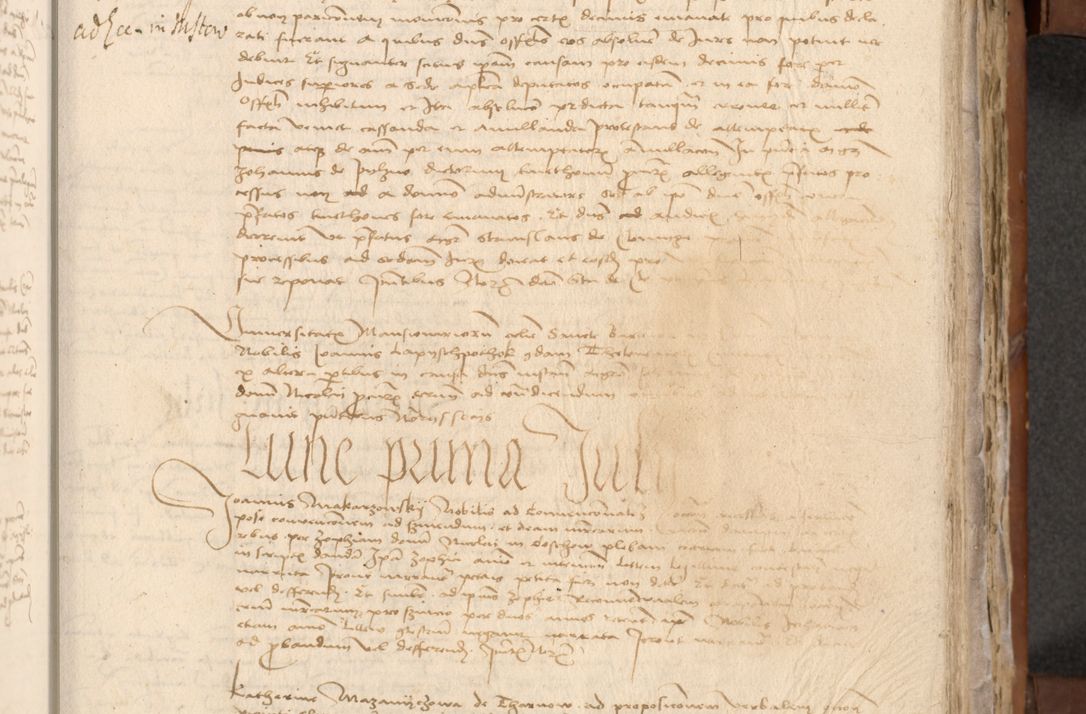 Zdjęcie nr 268 dla obiektu archiwalnego: [Acta actorum officialia coram Johanne de Starzechowicze]