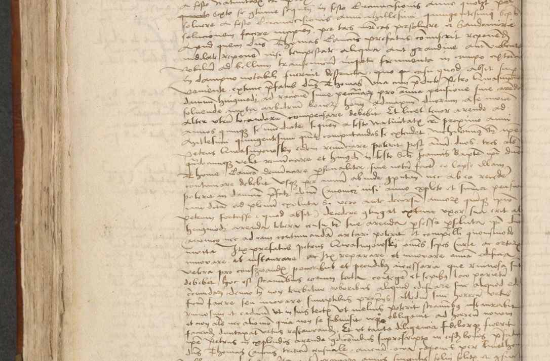 Zdjęcie nr 233 dla obiektu archiwalnego: [Acta actorum officialia coram Johanne de Starzechowicze]