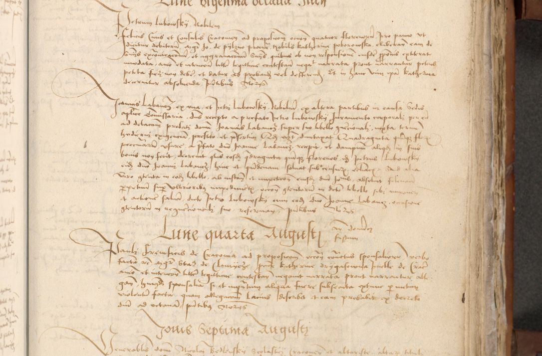 Zdjęcie nr 194 dla obiektu archiwalnego: [Acta actorum officialia coram Johanne de Starzechowicze]