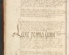 Zdjęcie nr 35 dla obiektu archiwalnego: [Acta actorum officialia coram Johanne de Starzechowicze]