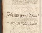 Zdjęcie nr 21 dla obiektu archiwalnego: [Acta actorum officialia coram Johanne de Starzechowicze]