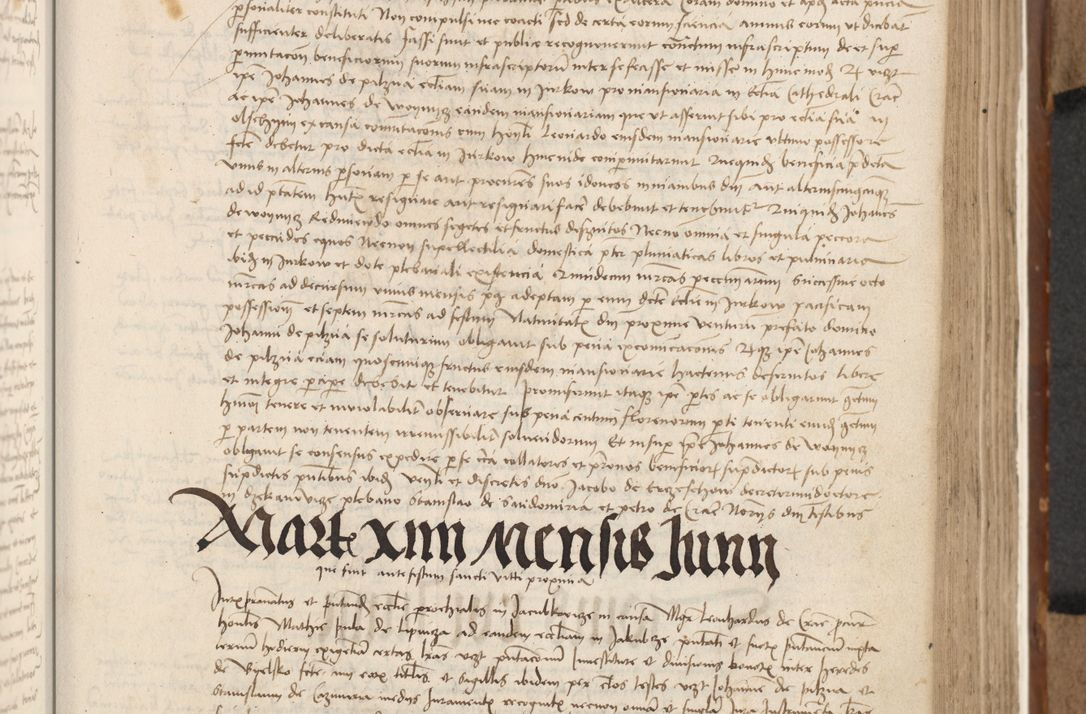 Zdjęcie nr 334 dla obiektu archiwalnego: [Acta actorum vicarialia coram Johanne de Goslaw]