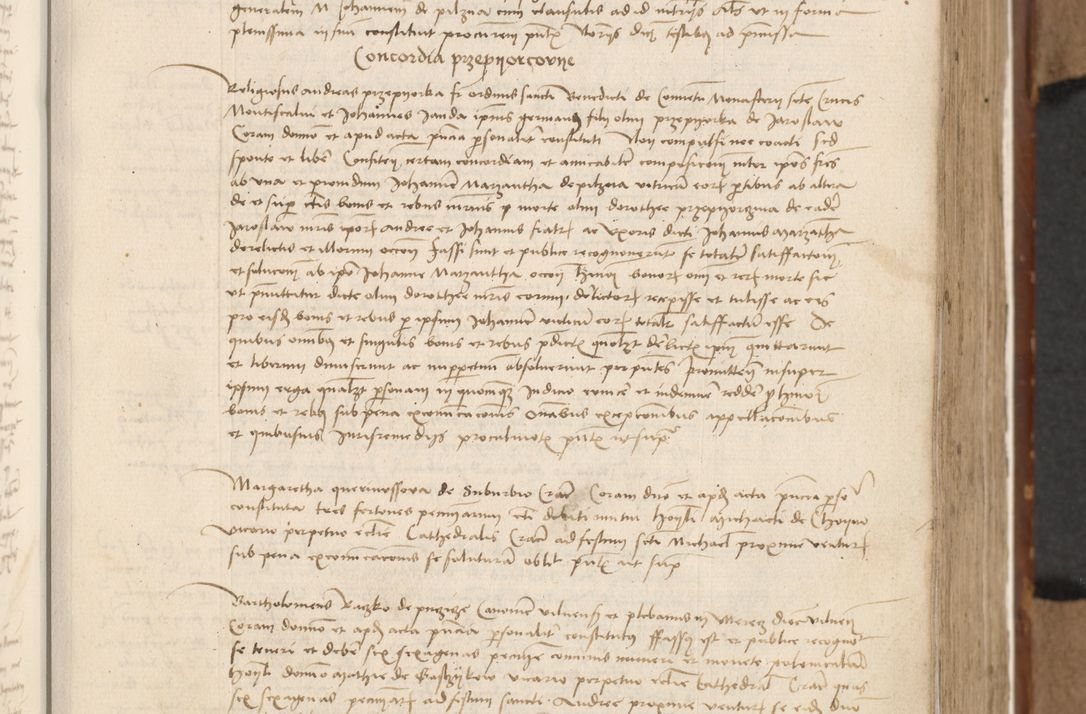 Zdjęcie nr 192 dla obiektu archiwalnego: [Acta actorum vicarialia coram Johanne de Goslaw]