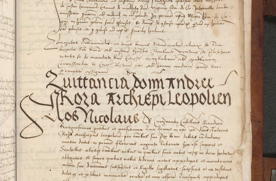 Zdjęcie nr 319 dla obiektu archiwalnego: [Acta pronuntiationum officialia coram Valentino de Ilkusch]