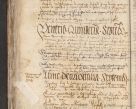 Zdjęcie nr 290 dla obiektu archiwalnego: [Acta pronuntiationum officialia coram Valentino de Ilkusch]