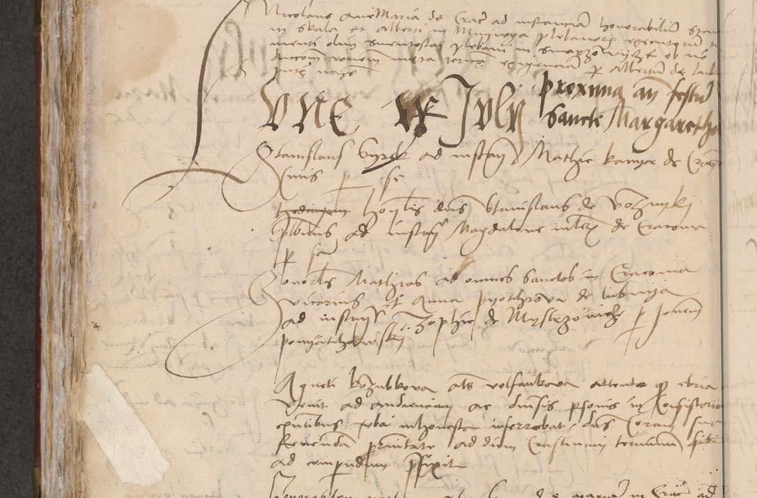 Zdjęcie nr 282 dla obiektu archiwalnego: [Acta pronuntiationum officialia coram Valentino de Ilkusch]