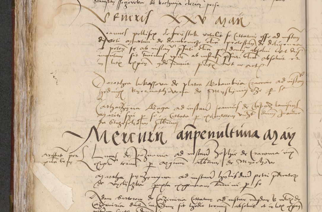 Zdjęcie nr 272 dla obiektu archiwalnego: [Acta pronuntiationum officialia coram Valentino de Ilkusch]