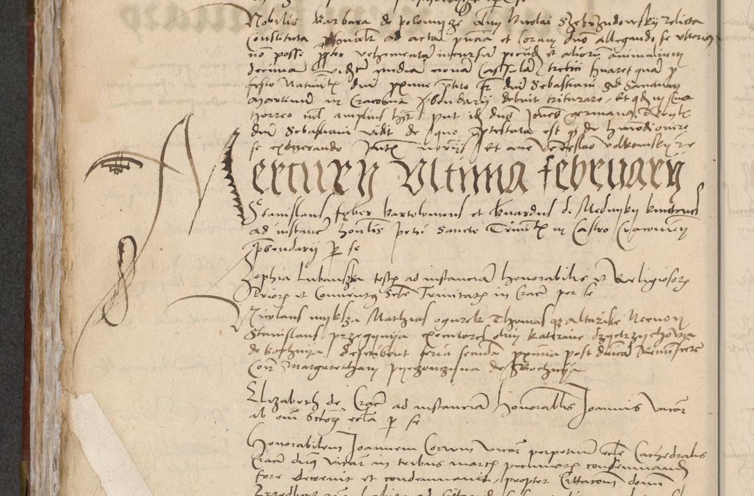 Zdjęcie nr 252 dla obiektu archiwalnego: [Acta pronuntiationum officialia coram Valentino de Ilkusch]