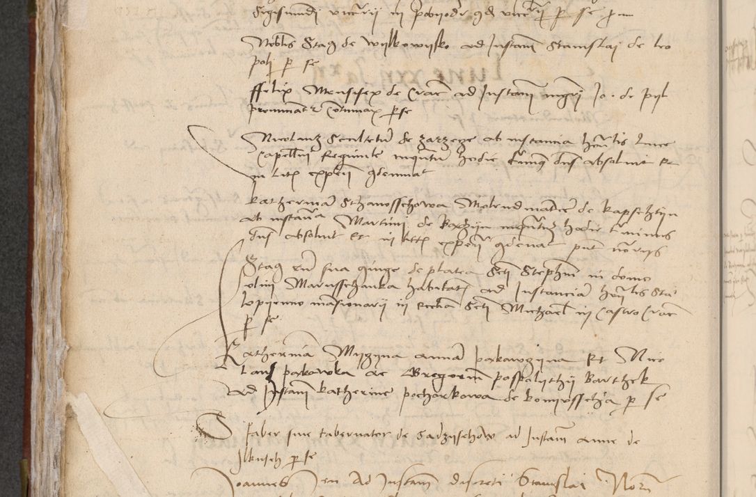 Zdjęcie nr 246 dla obiektu archiwalnego: [Acta pronuntiationum officialia coram Valentino de Ilkusch]