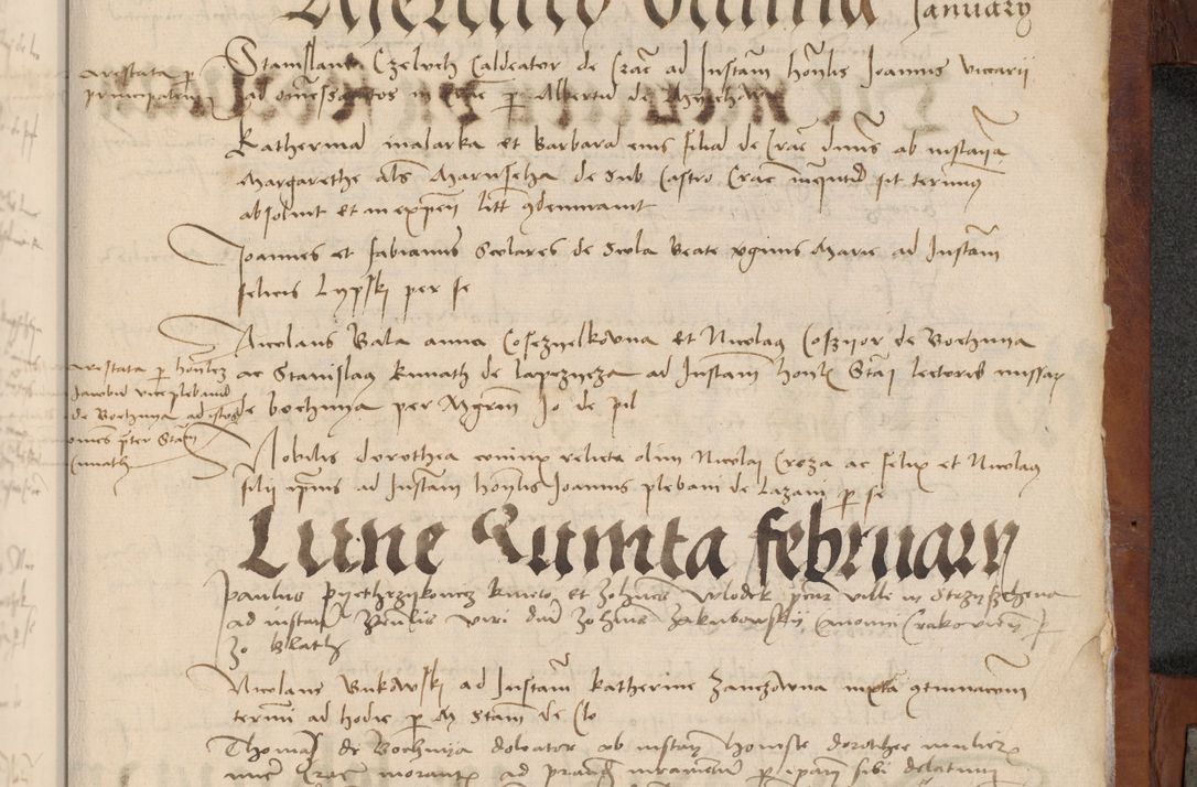 Zdjęcie nr 247 dla obiektu archiwalnego: [Acta pronuntiationum officialia coram Valentino de Ilkusch]