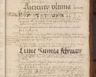 Zdjęcie nr 247 dla obiektu archiwalnego: [Acta pronuntiationum officialia coram Valentino de Ilkusch]