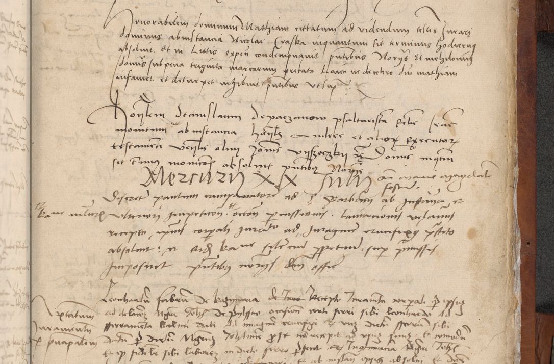 Zdjęcie nr 229 dla obiektu archiwalnego: [Acta pronuntiationum officialia coram Valentino de Ilkusch]