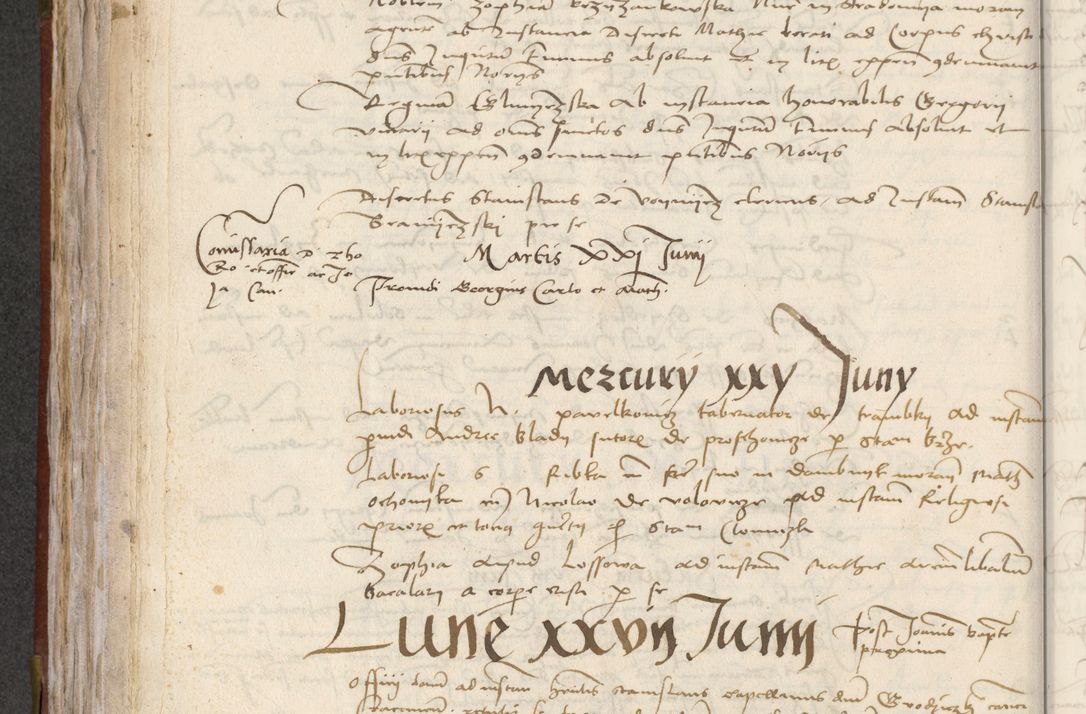 Zdjęcie nr 224 dla obiektu archiwalnego: [Acta pronuntiationum officialia coram Valentino de Ilkusch]