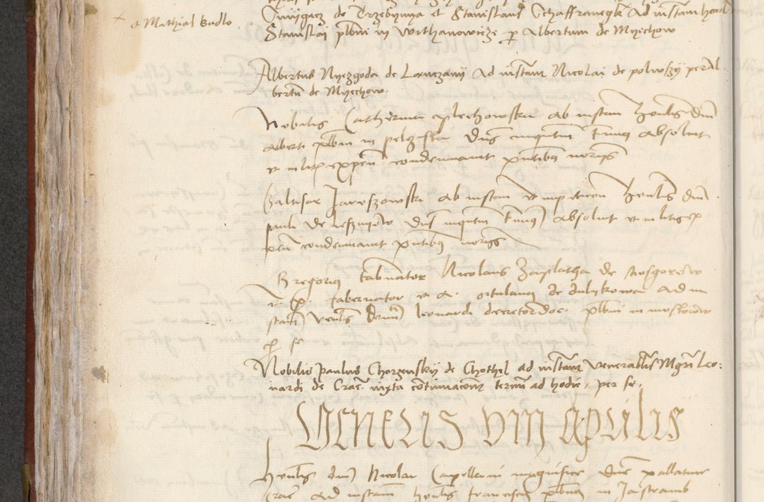 Zdjęcie nr 208 dla obiektu archiwalnego: [Acta pronuntiationum officialia coram Valentino de Ilkusch]