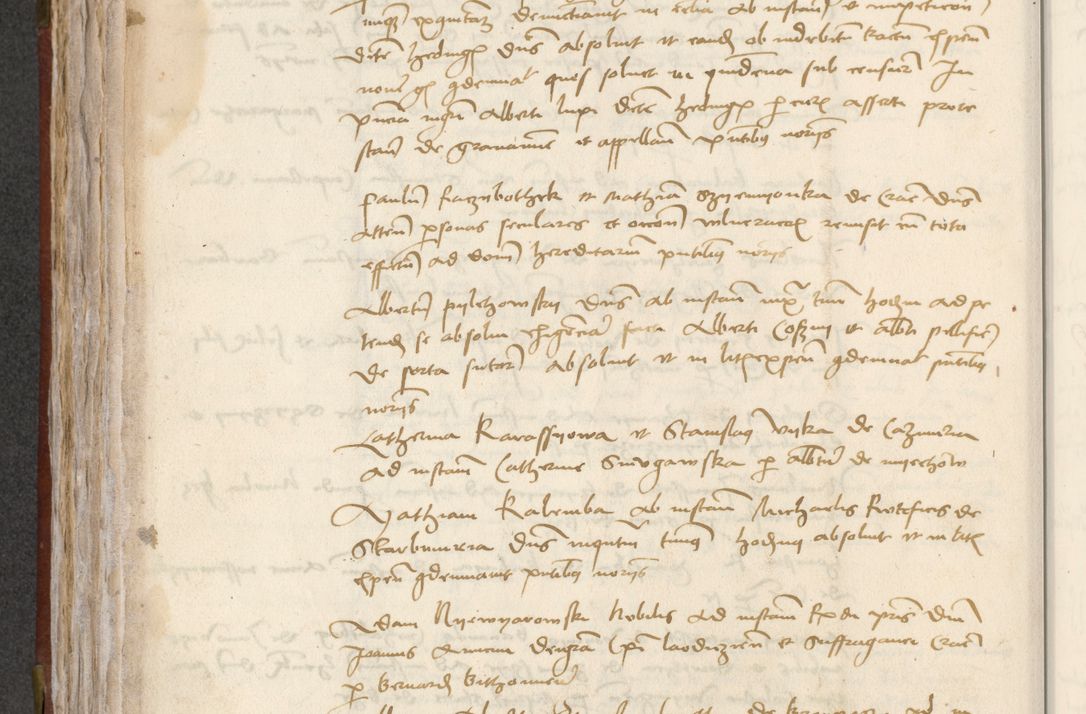 Zdjęcie nr 206 dla obiektu archiwalnego: [Acta pronuntiationum officialia coram Valentino de Ilkusch]