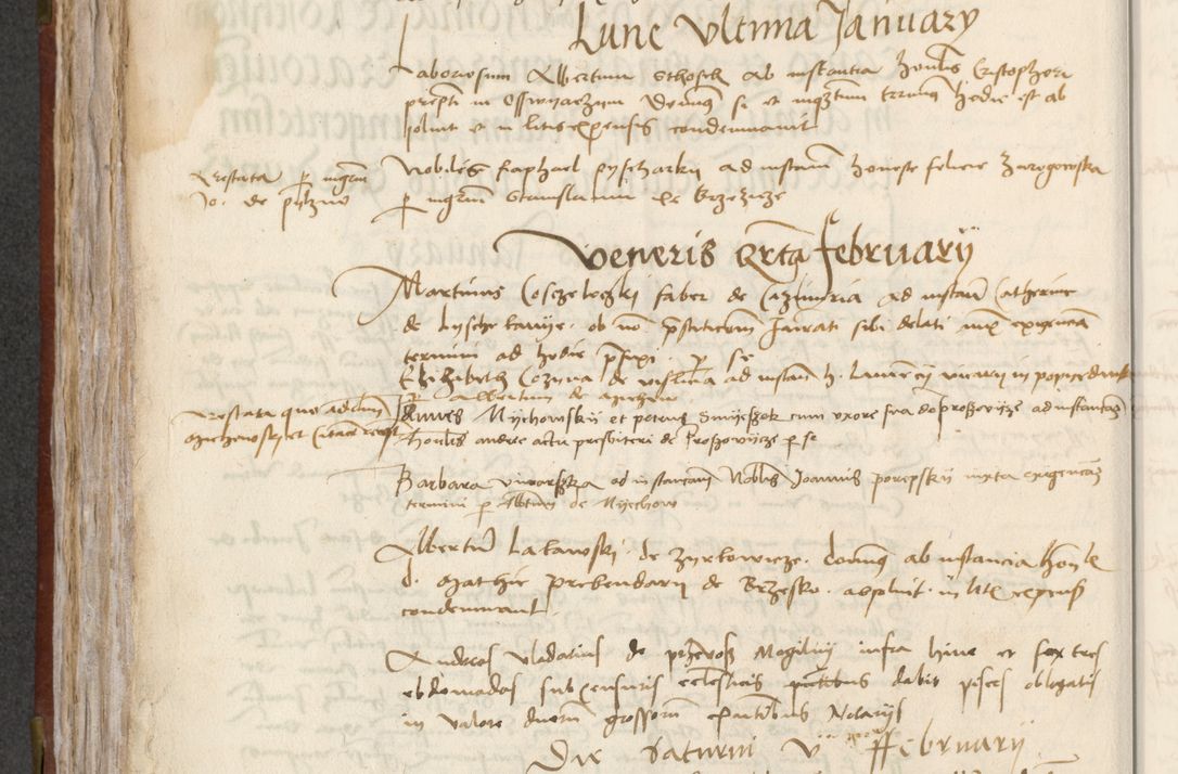 Zdjęcie nr 192 dla obiektu archiwalnego: [Acta pronuntiationum officialia coram Valentino de Ilkusch]