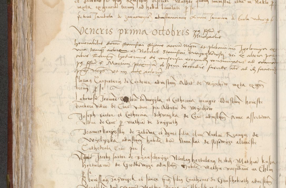 Zdjęcie nr 176 dla obiektu archiwalnego: [Acta pronuntiationum officialia coram Valentino de Ilkusch]