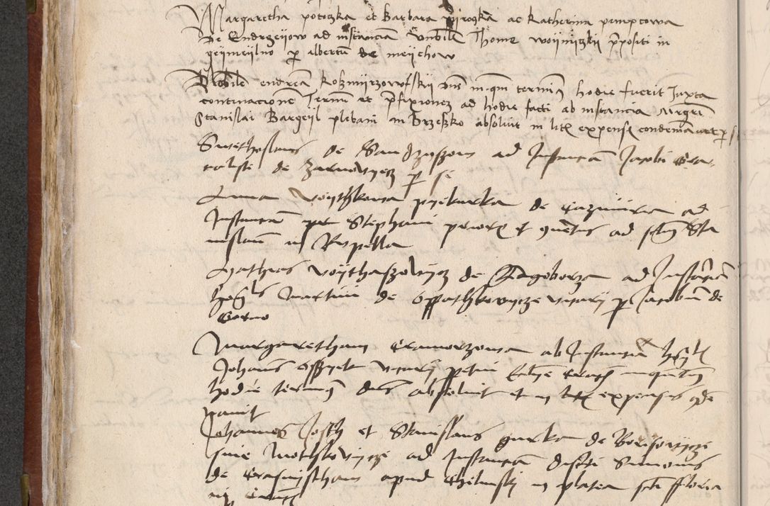 Zdjęcie nr 106 dla obiektu archiwalnego: [Acta pronuntiationum officialia coram Valentino de Ilkusch]