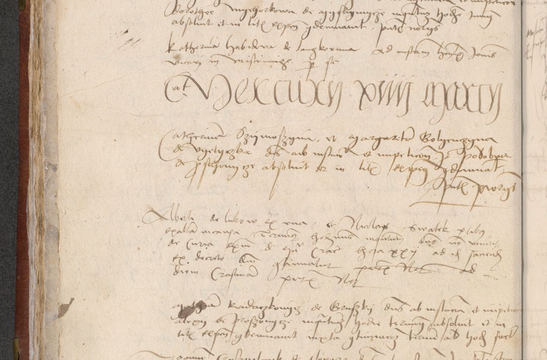 Zdjęcie nr 86 dla obiektu archiwalnego: [Acta pronuntiationum officialia coram Valentino de Ilkusch]