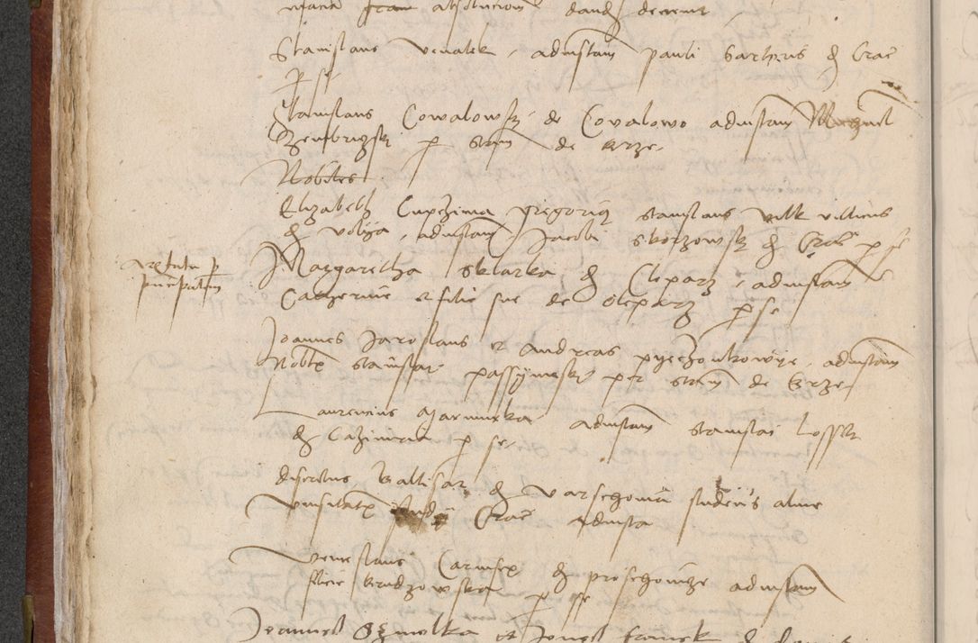 Zdjęcie nr 76 dla obiektu archiwalnego: [Acta pronuntiationum officialia coram Valentino de Ilkusch]