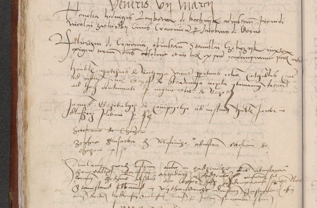 Zdjęcie nr 70 dla obiektu archiwalnego: [Acta pronuntiationum officialia coram Valentino de Ilkusch]