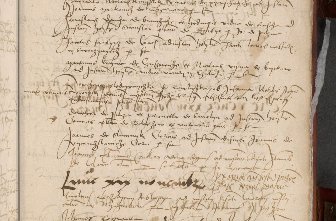 Zdjęcie nr 31 dla obiektu archiwalnego: [Acta pronuntiationum officialia coram Valentino de Ilkusch]