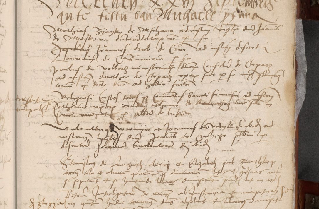 Zdjęcie nr 17 dla obiektu archiwalnego: [Acta pronuntiationum officialia coram Valentino de Ilkusch]