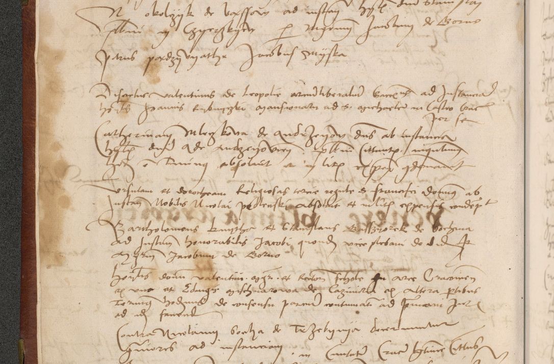 Zdjęcie nr 12 dla obiektu archiwalnego: [Acta pronuntiationum officialia coram Valentino de Ilkusch]