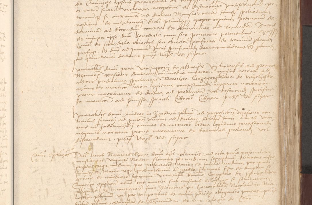 Zdjęcie nr 193 dla obiektu archiwalnego: [Acta actorum vicarialia coram Bernardino Gallo de Jadra]