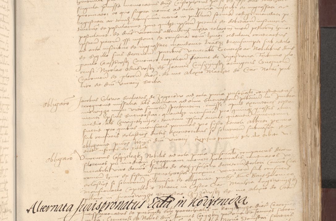 Zdjęcie nr 337 dla obiektu archiwalnego: [Acta actorum vicarialia coram Bernardino Gallo de Jadra]