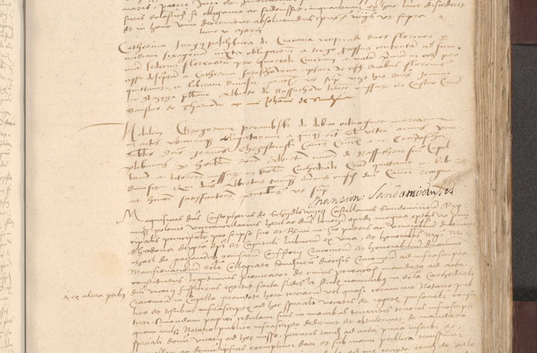 Zdjęcie nr 335 dla obiektu archiwalnego: [Acta actorum vicarialia coram Bernardino Gallo de Jadra]