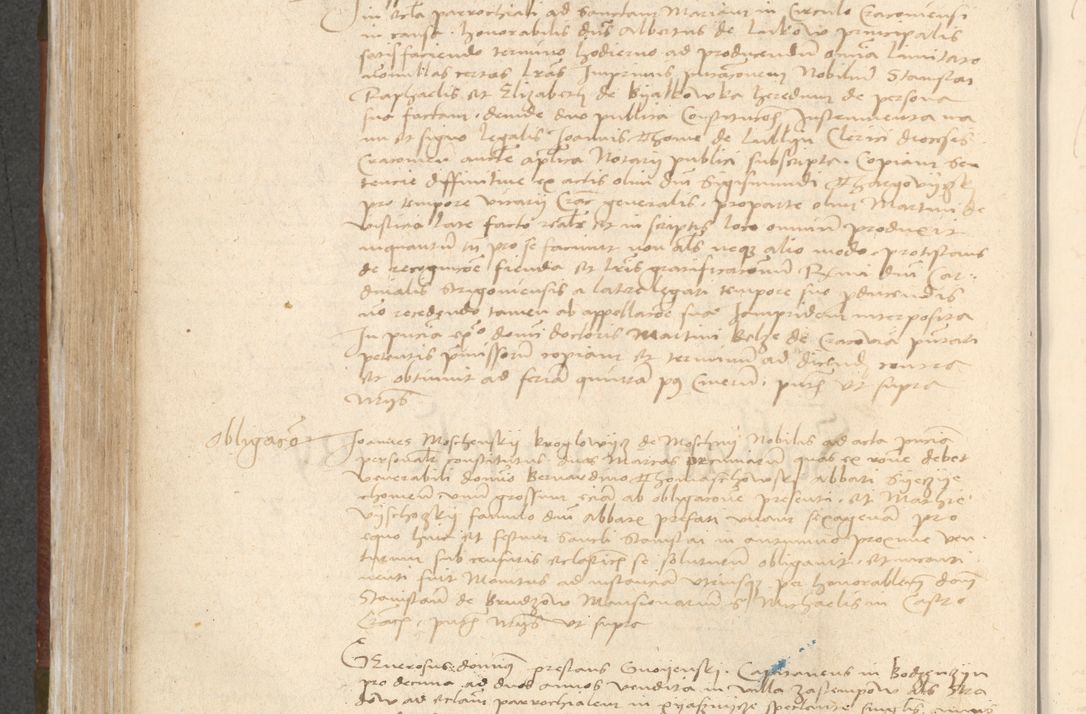 Zdjęcie nr 318 dla obiektu archiwalnego: [Acta actorum vicarialia coram Bernardino Gallo de Jadra]