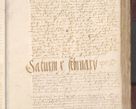 Zdjęcie nr 307 dla obiektu archiwalnego: [Acta actorum vicarialia coram Bernardino Gallo de Jadra]