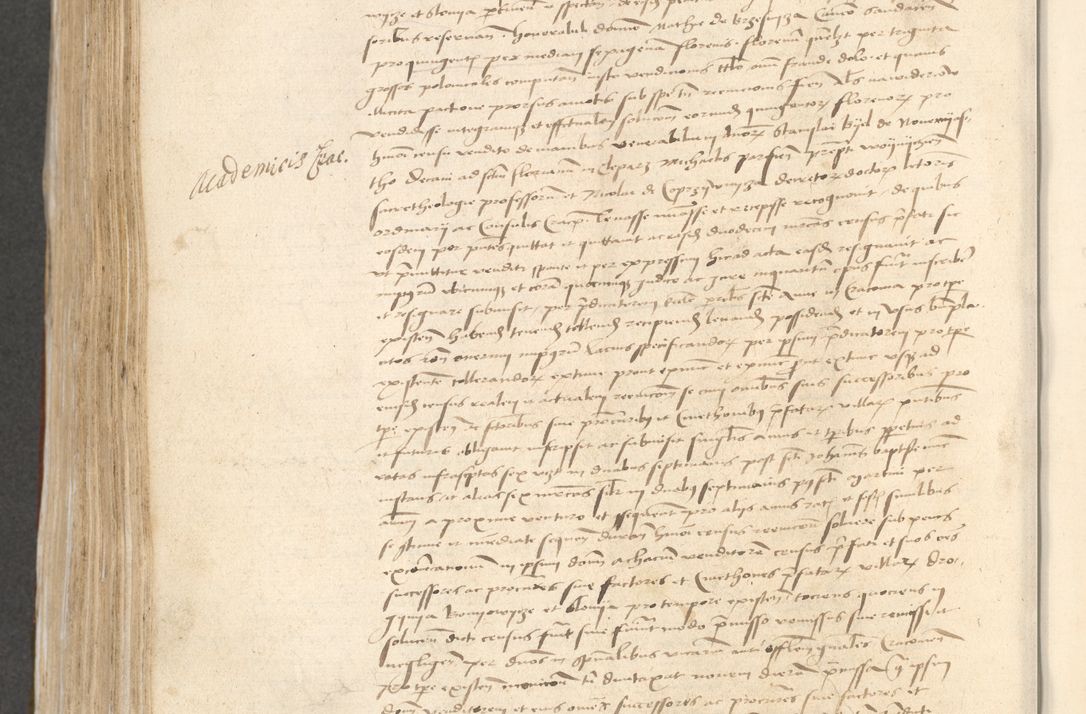 Zdjęcie nr 570 dla obiektu archiwalnego: [Acta actorum vicarialia coram Bernardino Gallo de Jadra]