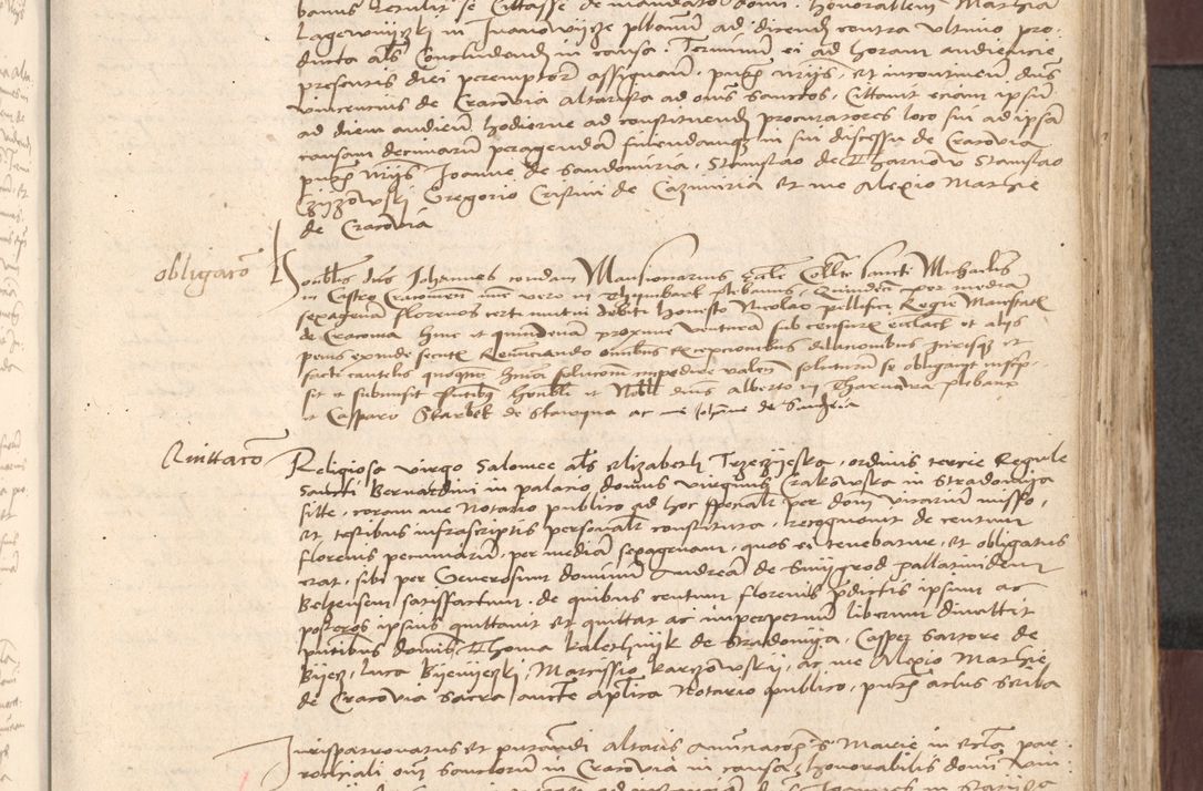 Zdjęcie nr 425 dla obiektu archiwalnego: [Acta actorum vicarialia coram Bernardino Gallo de Jadra]