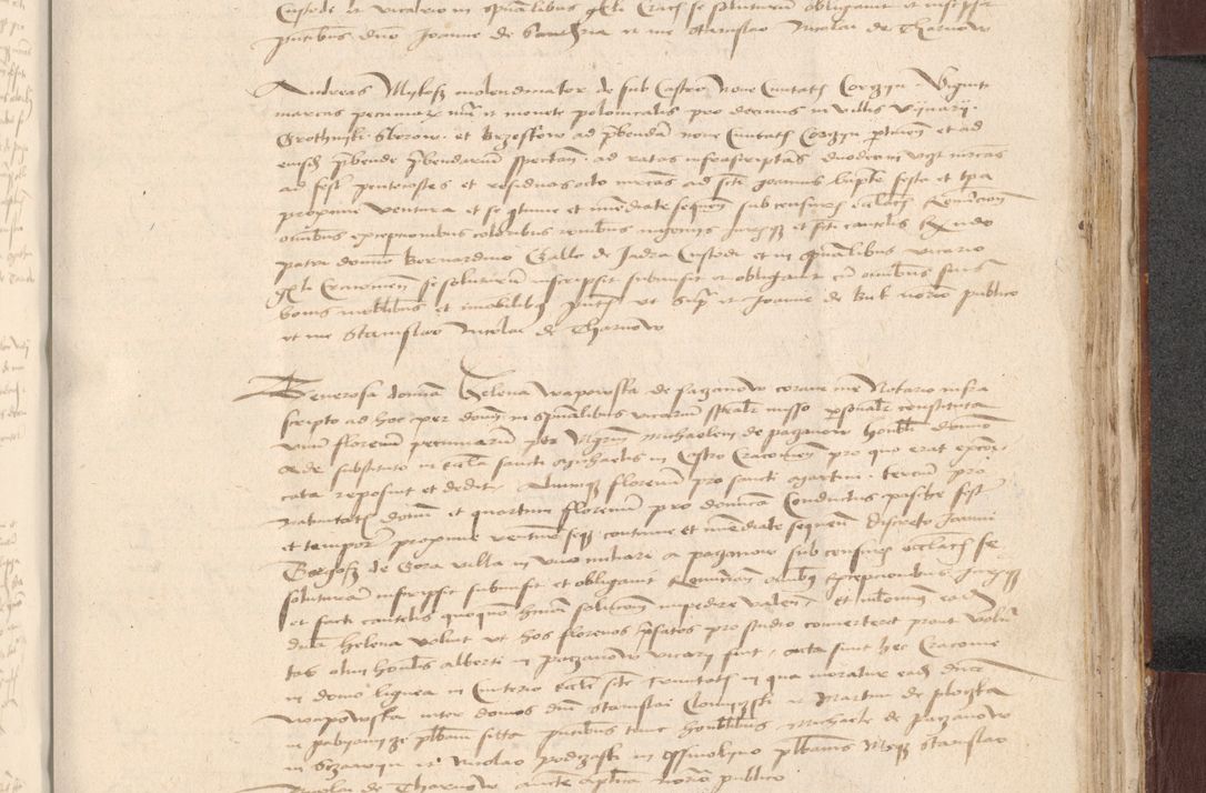 Zdjęcie nr 737 dla obiektu archiwalnego: [Acta actorum vicarialia coram Bernardino Gallo de Jadra]