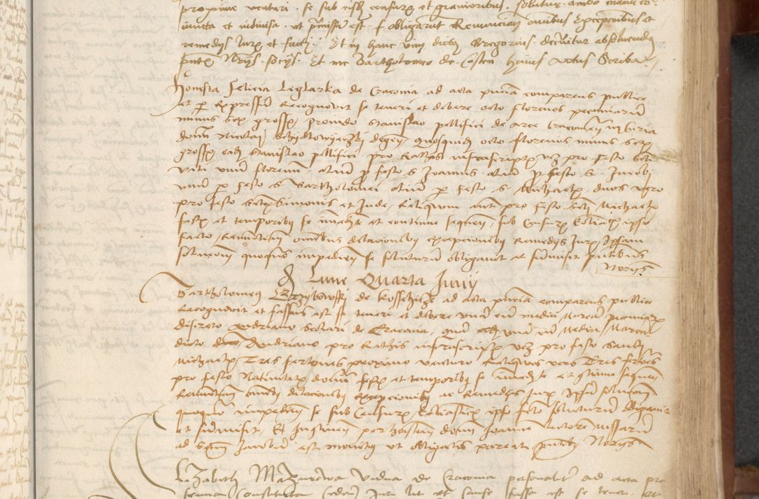 Zdjęcie nr 117 dla obiektu archiwalnego: [Acta] obligationum coram reverendo patre domino Thoma Rosnowsky canonico et offi[ciali C]racoviensi generali [a]d annum Domini 1514, [ind]itione secunda, pontificatus sanctissimi in Christo patris domini nostro domini Leonis divina providencia pape decimi moderni. Anno sue sanctitatis aduc ad 19 Marcii [...] primo secundis fatibus et felici sidere suum per manu Bronislaidis telluris Ursonici recipiunt et dii faveant ceptis