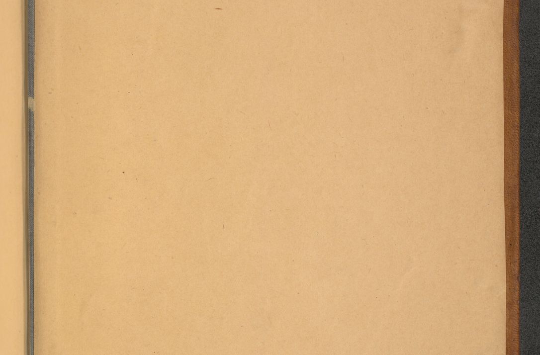 Zdjęcie nr 6 dla obiektu archiwalnego: [Acta actorum officialia coram Thoma Roznowski]