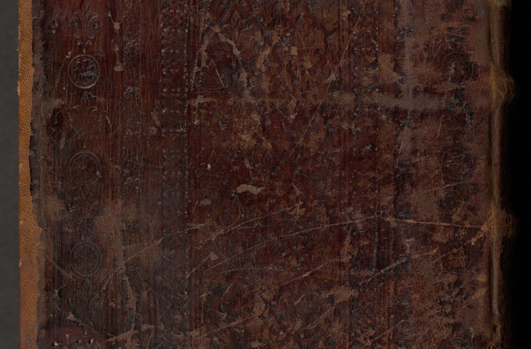 Zdjęcie nr 2 dla obiektu archiwalnego: [Acta actorum officialia coram Thoma Roznowski]