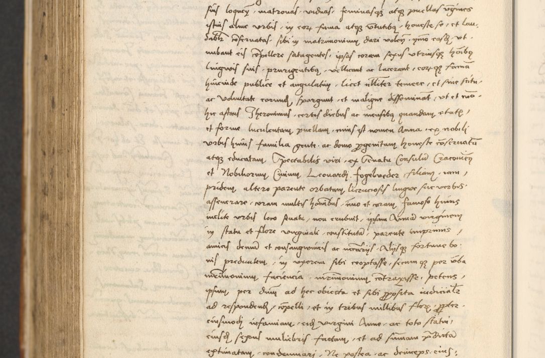 Zdjęcie nr 832 dla obiektu archiwalnego: [Acta actorum officialia coram Thoma Roznowski]