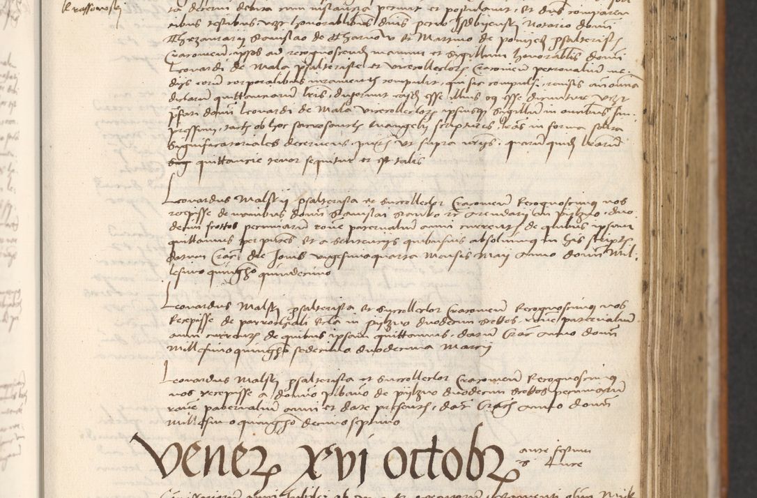 Zdjęcie nr 429 dla obiektu archiwalnego: [Acta actorum officialia coram Thoma Roznowski]