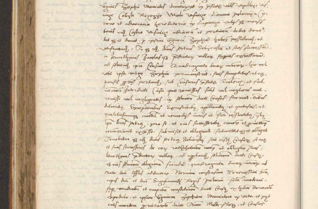 Zdjęcie nr 384 dla obiektu archiwalnego: [Acta actorum officialia coram Thoma Roznowski]