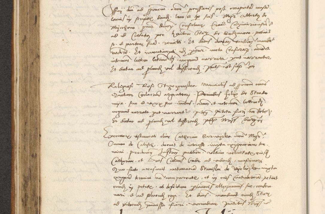 Zdjęcie nr 348 dla obiektu archiwalnego: [Acta actorum officialia coram Thoma Roznowski]