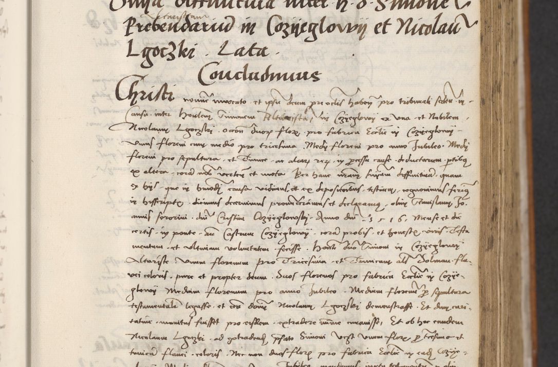 Zdjęcie nr 319 dla obiektu archiwalnego: [Acta actorum officialia coram Thoma Roznowski]