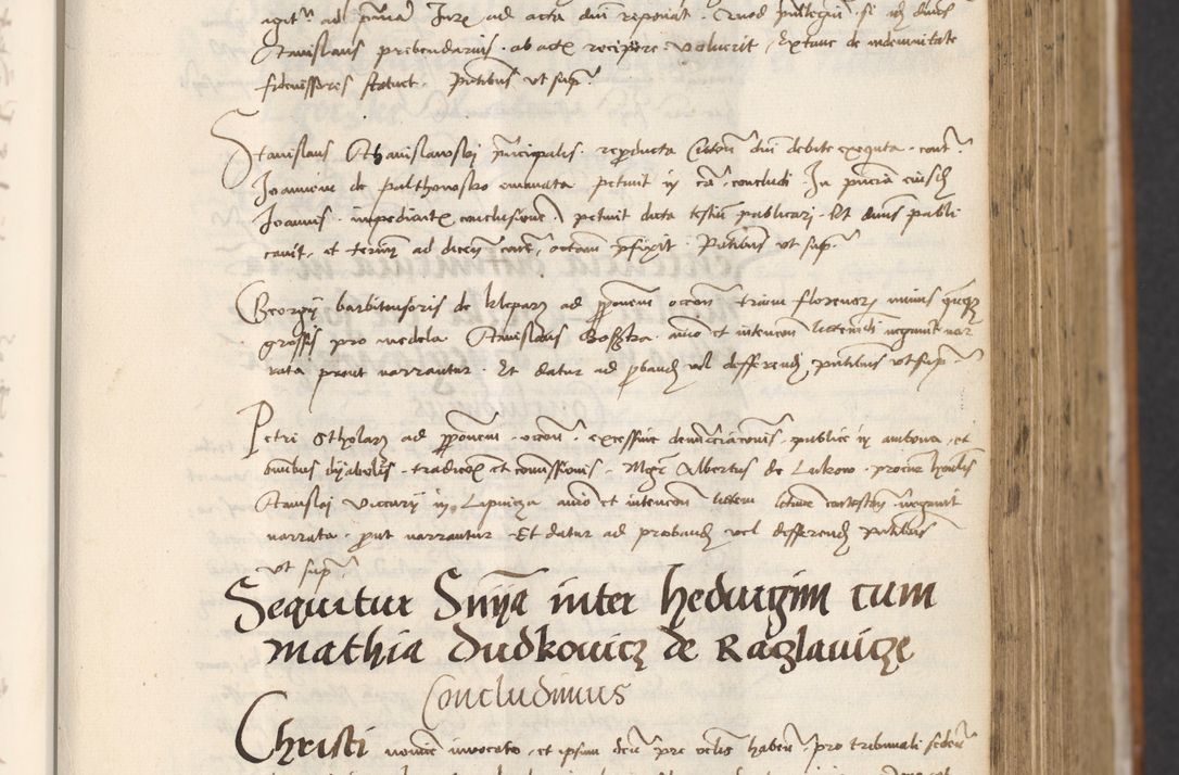 Zdjęcie nr 317 dla obiektu archiwalnego: [Acta actorum officialia coram Thoma Roznowski]